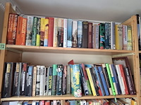 Diverse boeken - afbeelding kan wat afwijken - afbeelding 3 van  3