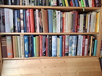 Diverse boeken - afbeelding kan wat afwijken - afbeelding 2 van  3
