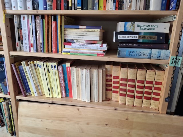 Diverse boeken - afbeelding kan wat afwijken - afbeelding 3 van  3