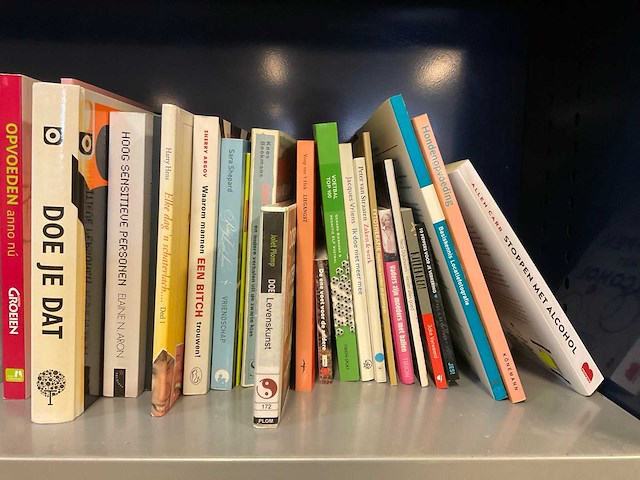 Diverse boeken - afbeelding 2 van  4
