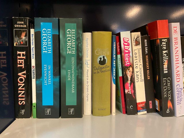 Diverse boeken - afbeelding 2 van  7