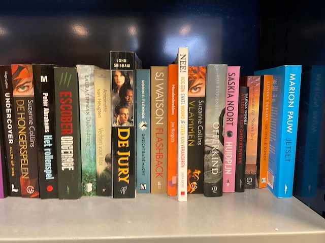 Diverse boeken - afbeelding 5 van  7