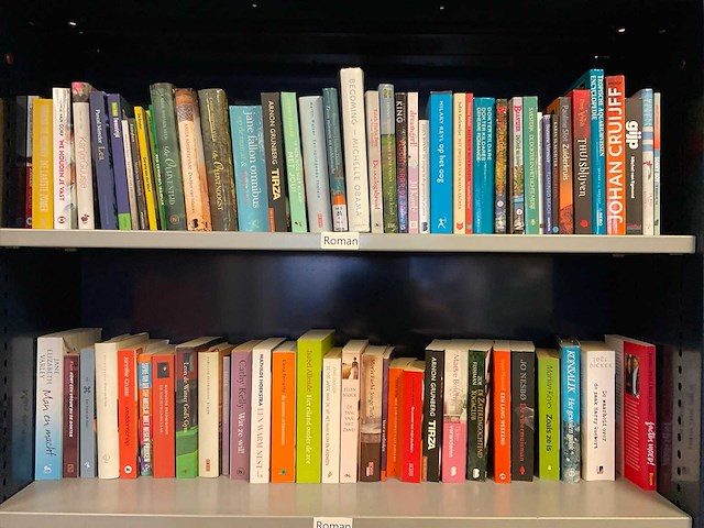 Diverse boeken - afbeelding 1 van  7