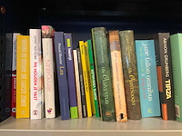 Diverse boeken - afbeelding 2 van  7