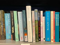 Diverse boeken - afbeelding 3 van  7