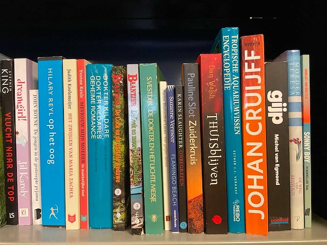 Diverse boeken - afbeelding 4 van  7