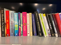 Diverse boeken - afbeelding 3 van  7