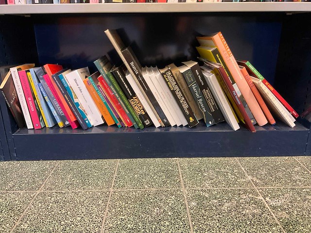 Diverse boeken - afbeelding 1 van  3