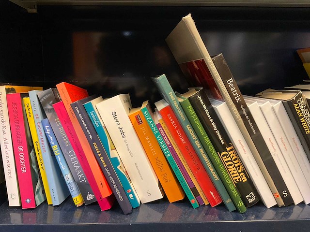 Diverse boeken - afbeelding 2 van  3