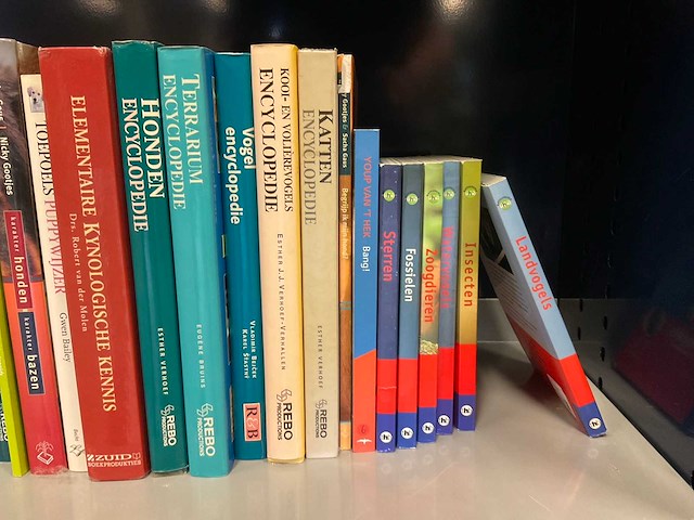 Diverse boeken - afbeelding 5 van  7