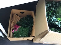 Diverse decoratie en diversen - afbeelding 5 van  6