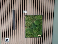 Diverse decoratie en verlichting - afbeelding 5 van  6