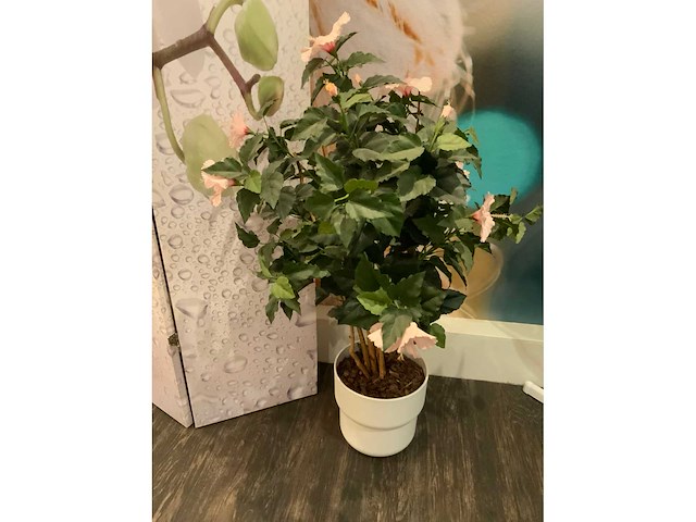 Diverse decoratie - afbeelding 2 van  9