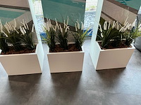 Diverse displays - afbeelding 4 van  6