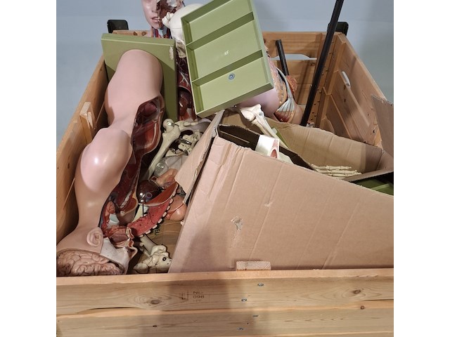 Diverse functiemodellen - afbeelding 2 van  7