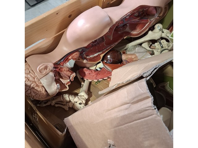 Diverse functiemodellen - afbeelding 3 van  7