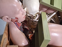 Diverse functiemodellen - afbeelding 5 van  7