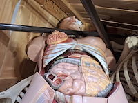 Diverse functiemodellen - afbeelding 7 van  7