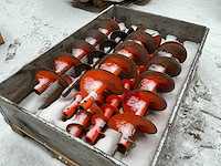 Diverse grondboor (7x) - afbeelding 2 van  4