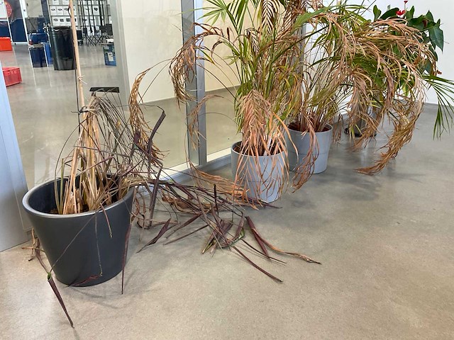 Diverse kantine-inventaris en -gerei - afbeelding 1 van  6