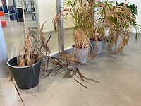 Diverse kantine-inventaris en -gerei - afbeelding 1 van  6