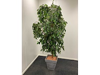 Diverse kantoorinventaris - afbeelding 4 van  8