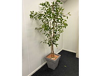 Diverse kantoorinventaris - afbeelding 5 van  8