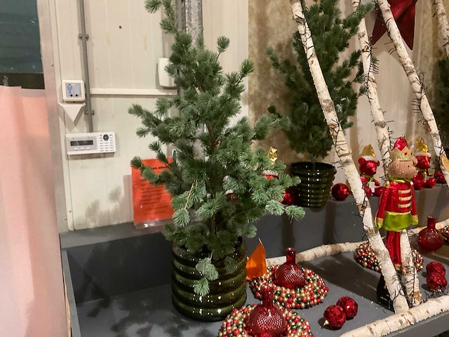 Diverse kerstdecoraties - afbeelding 7 van  13