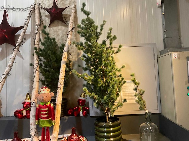 Diverse kerstdecoraties - afbeelding 11 van  13