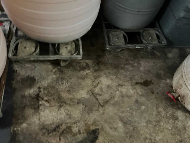 Diverse krattentrolley’s (6x) - afbeelding 2 van  3