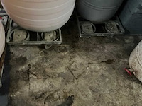 Diverse krattentrolley’s (6x) - afbeelding 2 van  3