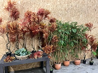 Diverse kunstplanten (13x) - afbeelding 1 van  7