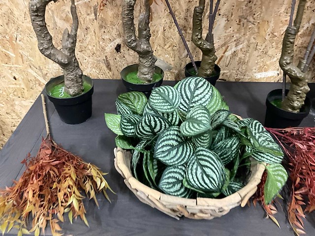 Diverse kunstplanten (13x) - afbeelding 3 van  7
