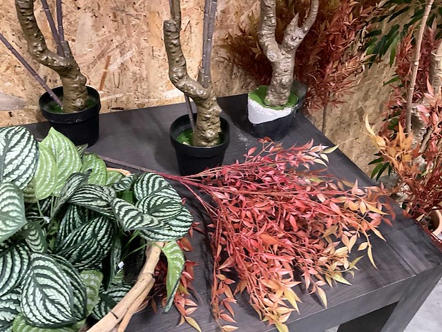 Diverse kunstplanten (13x) - afbeelding 4 van  7