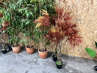 Diverse kunstplanten (13x) - afbeelding 6 van  7