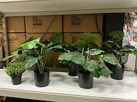 Diverse kunstplanten (6x)