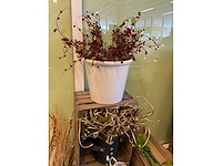 Diverse kunstplanten en decoratie - afbeelding 3 van  12