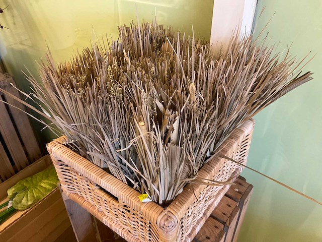 Diverse kunstplanten en decoratie - afbeelding 8 van  12