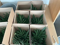 Diverse kunstplanten en kerstdecoratie - afbeelding 2 van  7