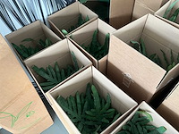 Diverse kunstplanten en kerstdecoratie - afbeelding 3 van  7