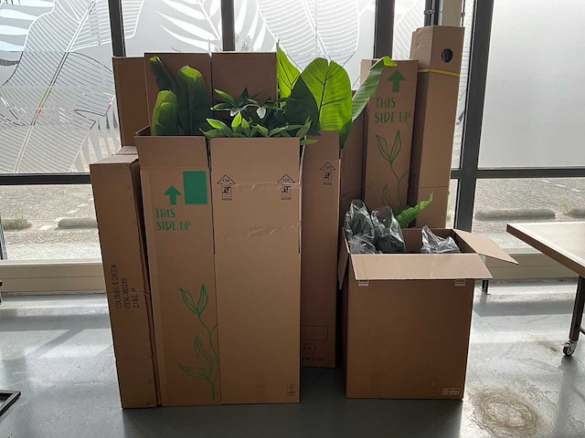 Diverse kunstplanten en kerstdecoratie - afbeelding 1 van  7