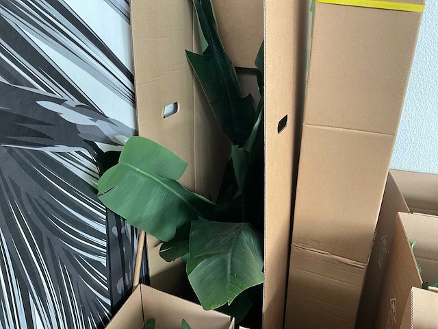 Diverse kunstplanten en kerstdecoratie - afbeelding 5 van  7