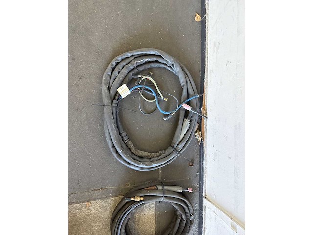 Diverse lastoortsen (2x) - afbeelding 1 van  3