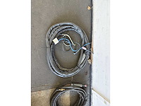 Diverse lastoortsen (2x) - afbeelding 1 van  3