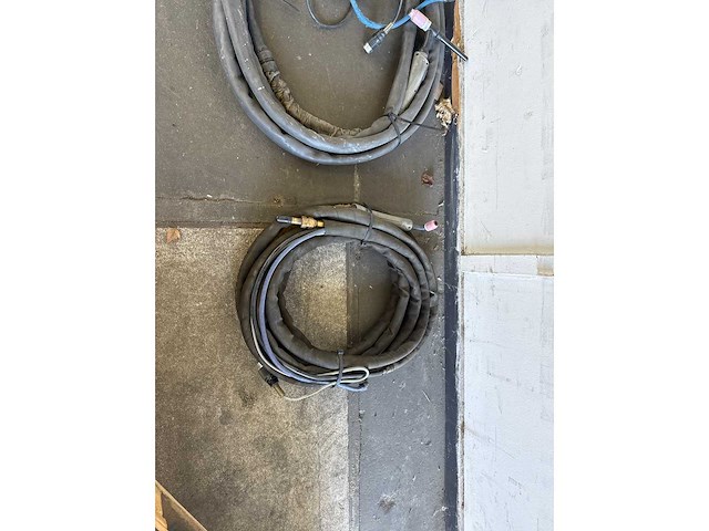 Diverse lastoortsen (2x) - afbeelding 2 van  3