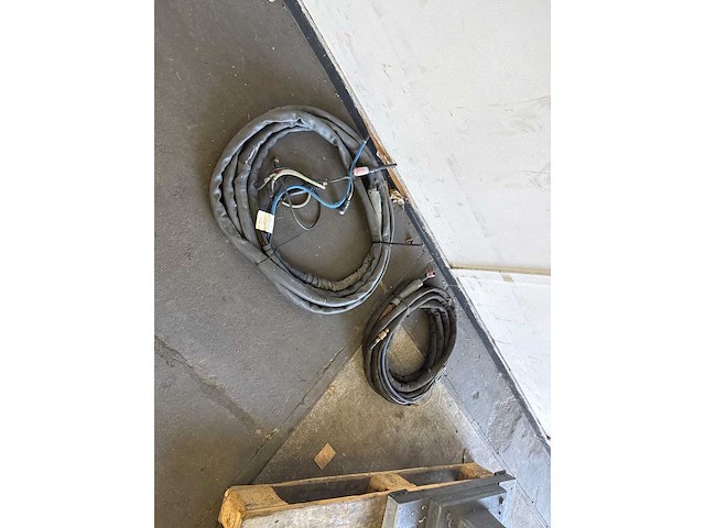 Diverse lastoortsen (2x) - afbeelding 3 van  3