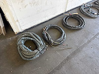 Diverse lastoortsen (3x) - afbeelding 1 van  4