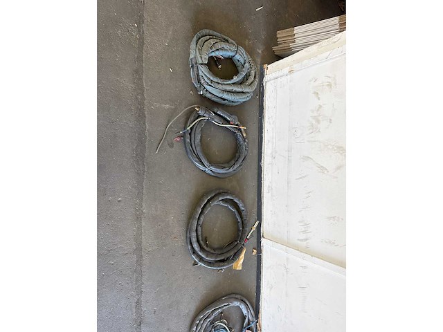 Diverse lastoortsen (3x) - afbeelding 2 van  4