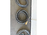 Diverse lastoortsen (3x) - afbeelding 3 van  4