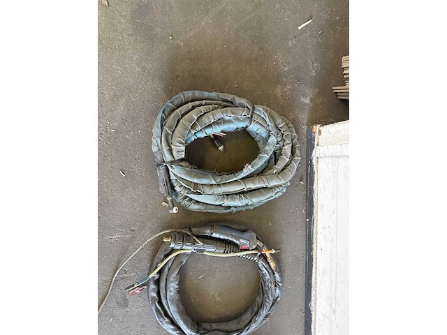 Diverse lastoortsen (3x) - afbeelding 4 van  4